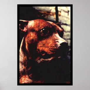 Poster Árvore de Kali