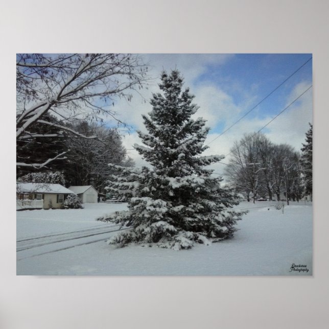 Poster Árvore de Natal sem corte (Frente)