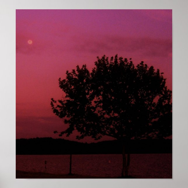 Pôster Árvore de Paixão (Frente)