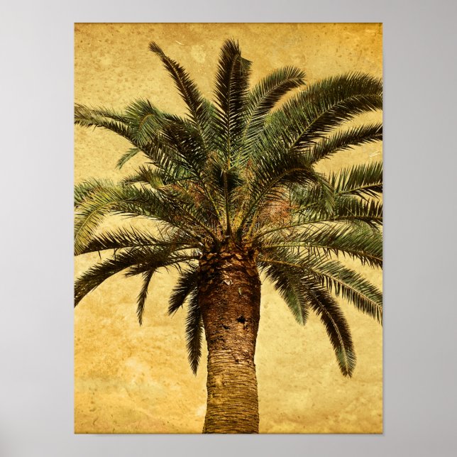 Poster Árvore de palma da Vintage - Modelo tropical perso (Frente)
