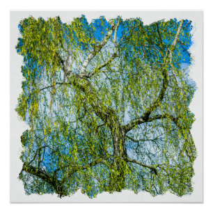 Pôster Árvore de pássaros - Primavera está no ar