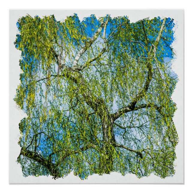 Pôster Árvore de pássaros - Primavera está no ar (Frente)