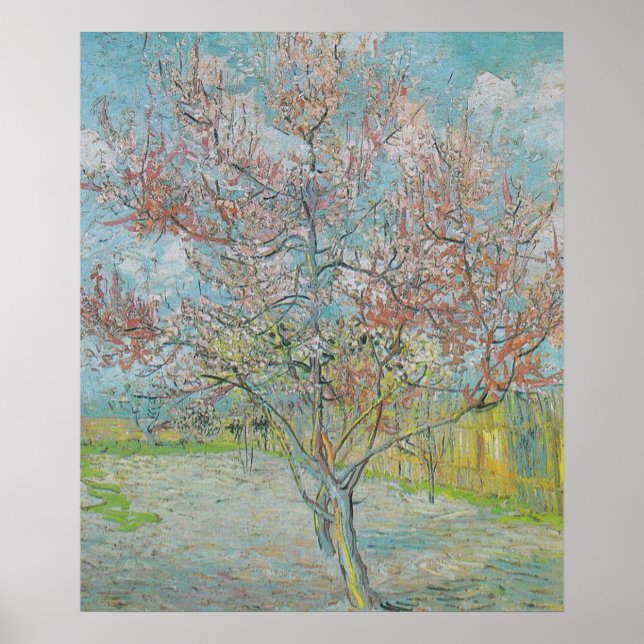 Poster Árvore de Pêssego Florindo (Frente)