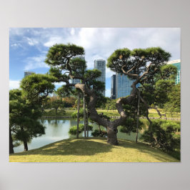 Poster Árvore de pinos pretos exclusiva