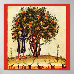 PÔSTER ÁRVORE DE POMEGRANATO ANTICO