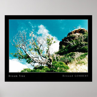 Pôster Árvore de sonhos