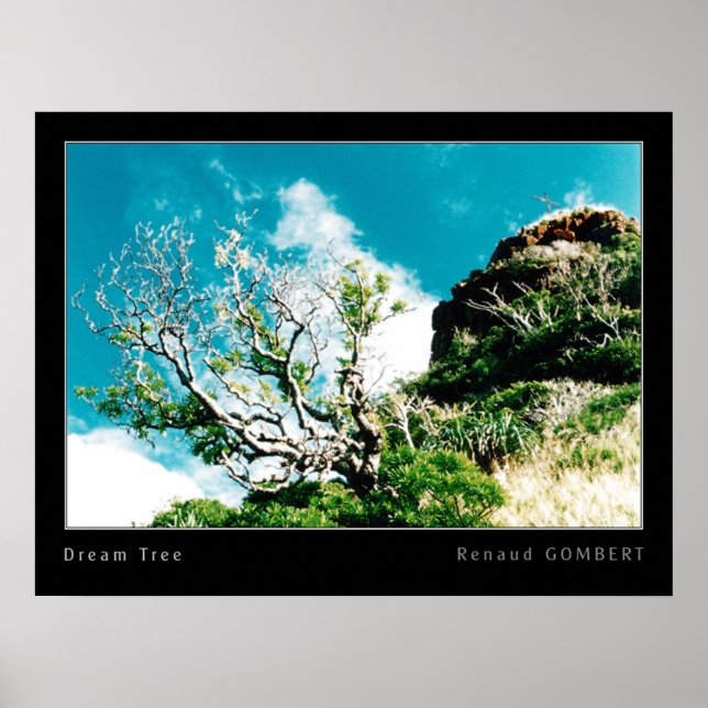 Pôster Árvore de sonhos (Frente)