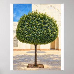 Poster Árvore de Topiaria Arredondada Arte de Parede de P