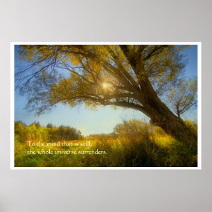 Poster Árvore de Wise