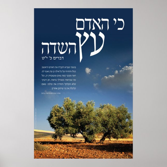 Poster Árvore do Campo (Frente)