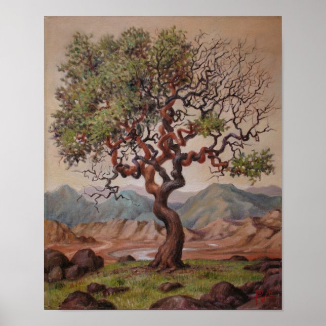 Poster Árvore do conhecimento (Frente)