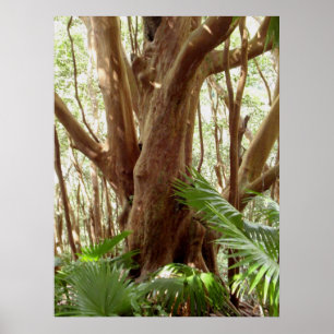 Pôster Árvore e palmas da goiaba de morango