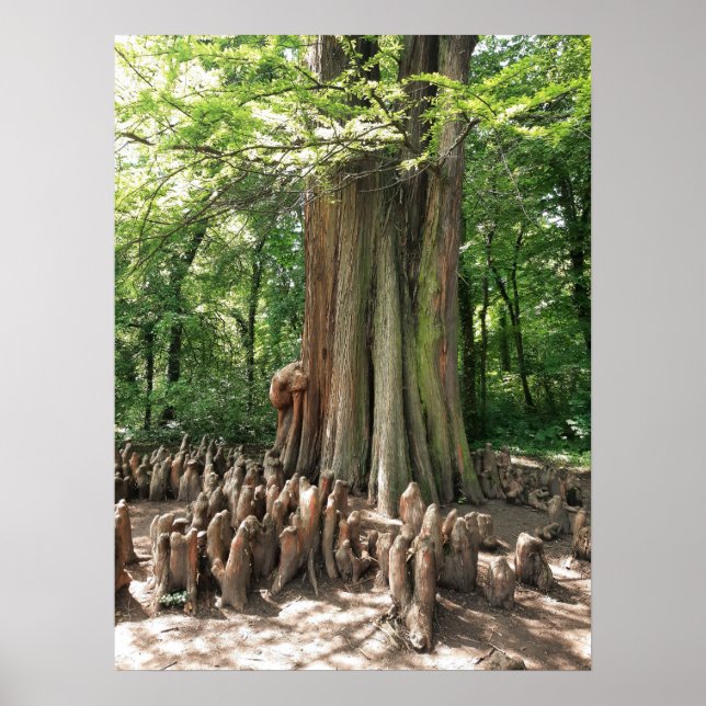 Poster Árvore e raízes (Frente)