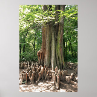 Poster Árvore e raízes