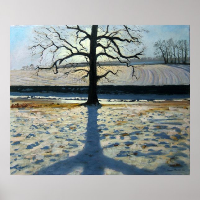 Pôster Árvore e Shadow Calke Abbey Derbyshire (Frente)