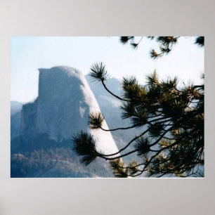 Poster Árvore em Half Dome