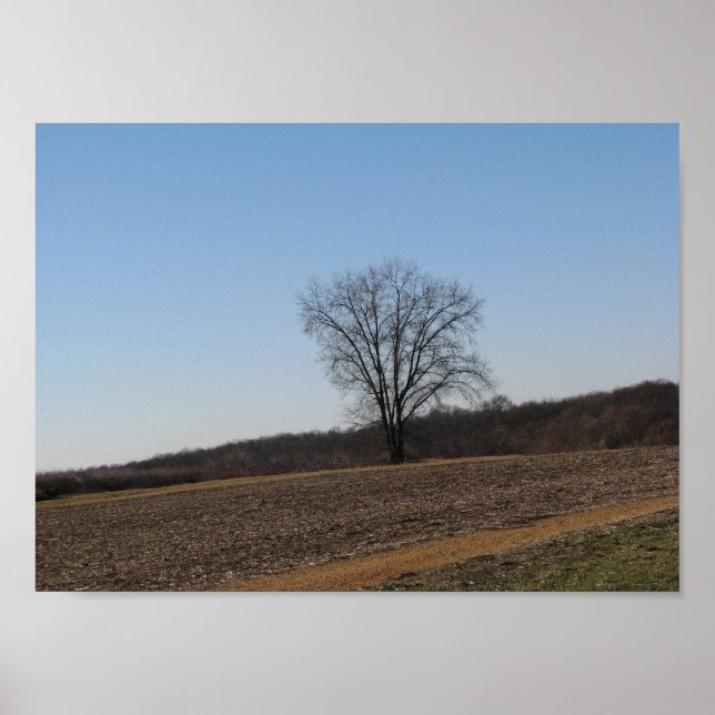 Pôster Árvore Familiar (Frente)