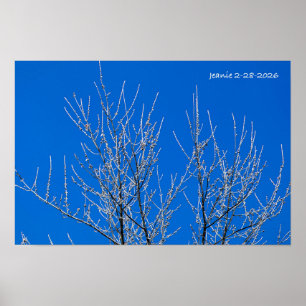 Poster Árvore Geada