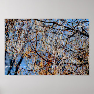 Poster Árvore geada de inverno