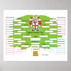 Poster Árvore genealógica de Adams