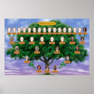 Poster Árvore genealógica de Makler