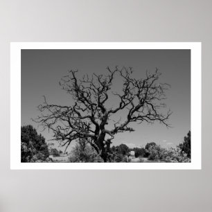 Pôster Árvore inoperante