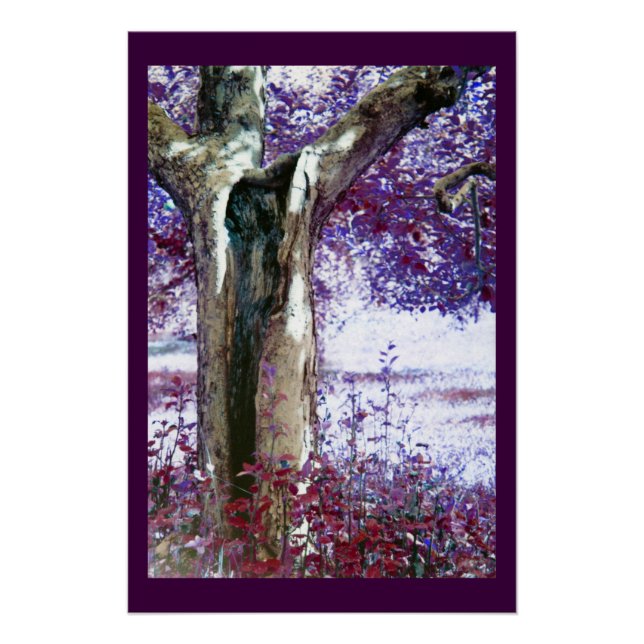 Pôster Árvore Mística (Frente)