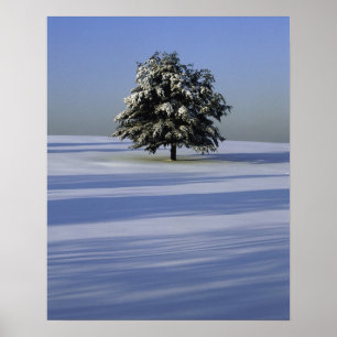 Poster Árvore na paisagem coberto de neve