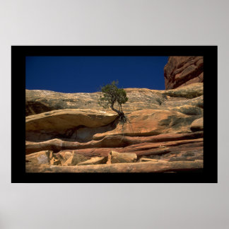 Pôster Árvore na parede