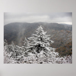 Pôster Árvore nevado