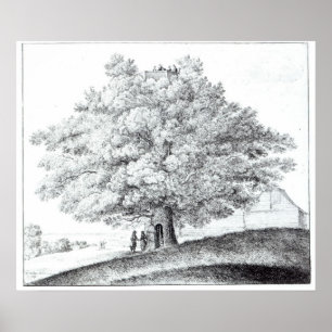 Pôster Árvore oca em Hampstead, 1663