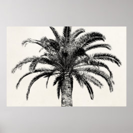 Poster Árvore Palm da Ilha Tropical de Preto e Branco