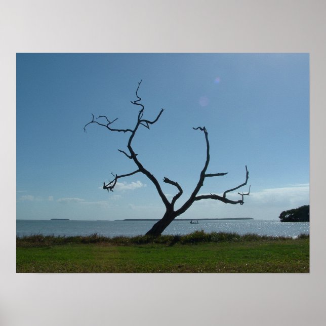 Poster Árvore Poeta (Frente)