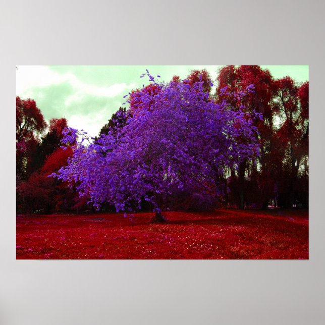 Pôster Árvore Psicodélica (Frente)