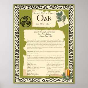 POSTER ÁRVORE SACRIFICADA DE OAK CELTIC
