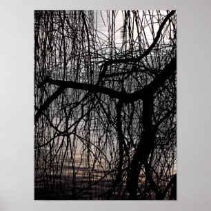 POSTER ÁRVORE SALGUEIRO DE INVERNO