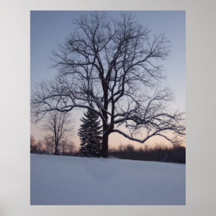 Poster Árvore Solitária