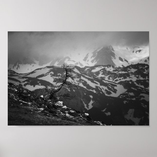 Poster árvore solitário com visualização impressionante e (Frente)