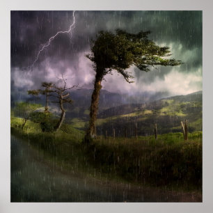 Poster Árvore soprando no vento durante tempestade