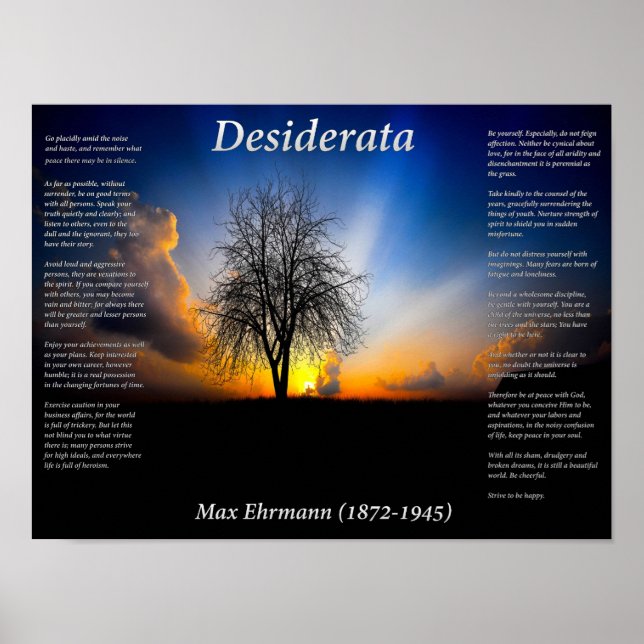 Pôster Árvore sozinha (Frente)