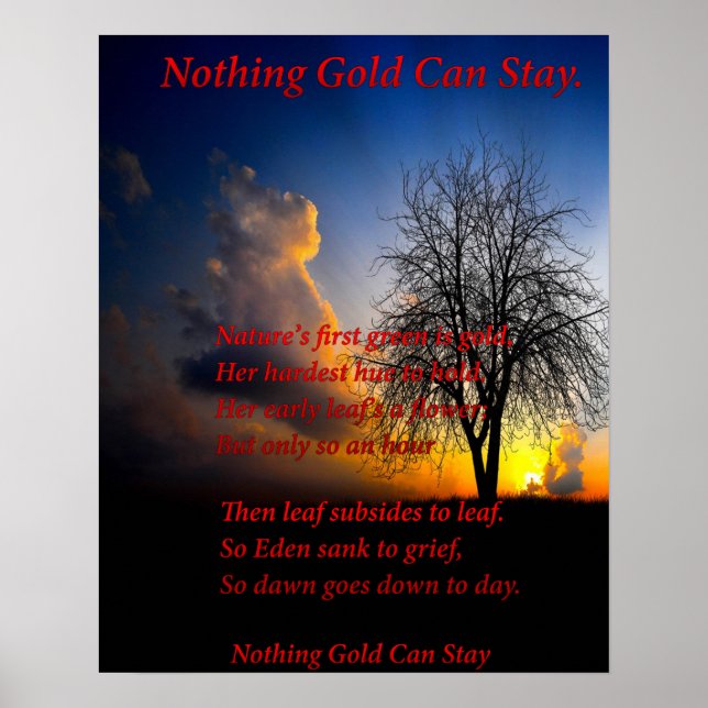 Pôster Árvore sozinha (Frente)