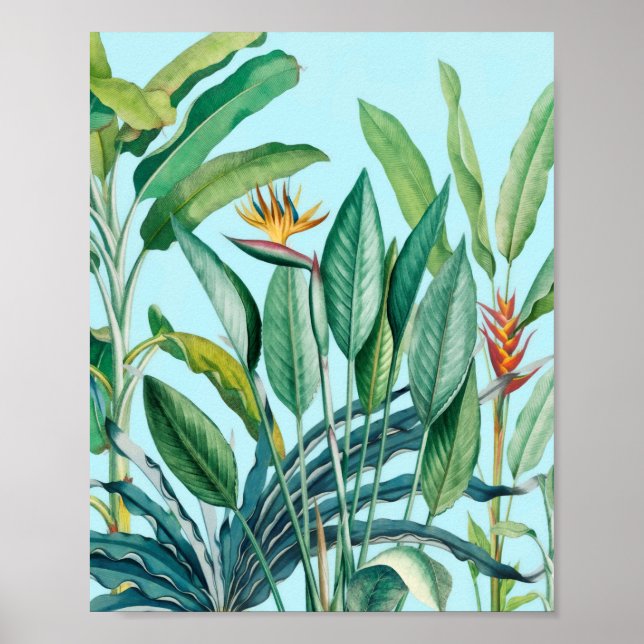 Poster Árvore Tropical de Banana Verde Tropical Strelitzi (Frente)