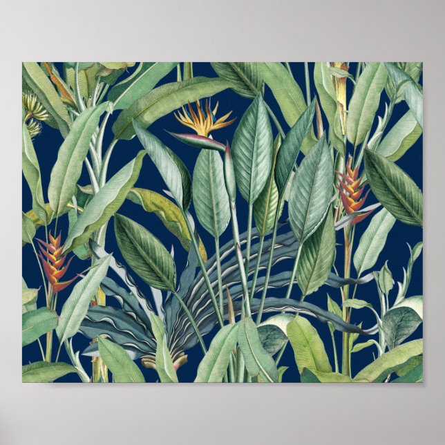 Poster Árvore Tropical de Banana Verde Tropical Strelitzi (Frente)