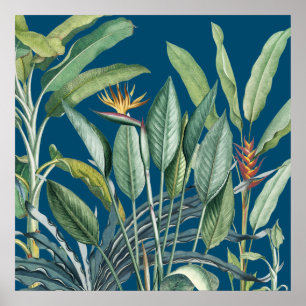 Poster Árvore Tropical de Banana Verde Tropical Strelitzi