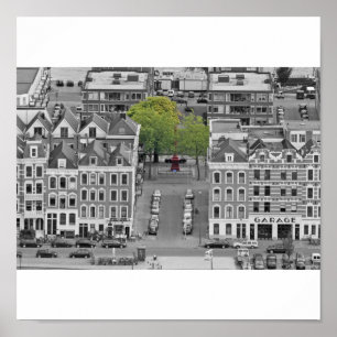 Pôster Árvore Verde