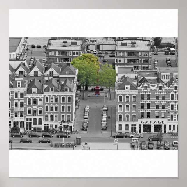 Pôster Árvore Verde (Frente)