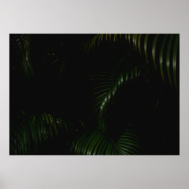 POSTER ÁRVORE VERDE (Frente)