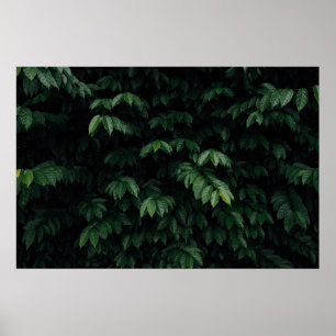 POSTER ÁRVORE VERDE