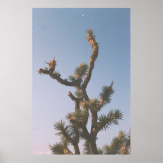 POSTER ÁRVORE VERDE E MARAVILHOSA SOB PELE AZUL