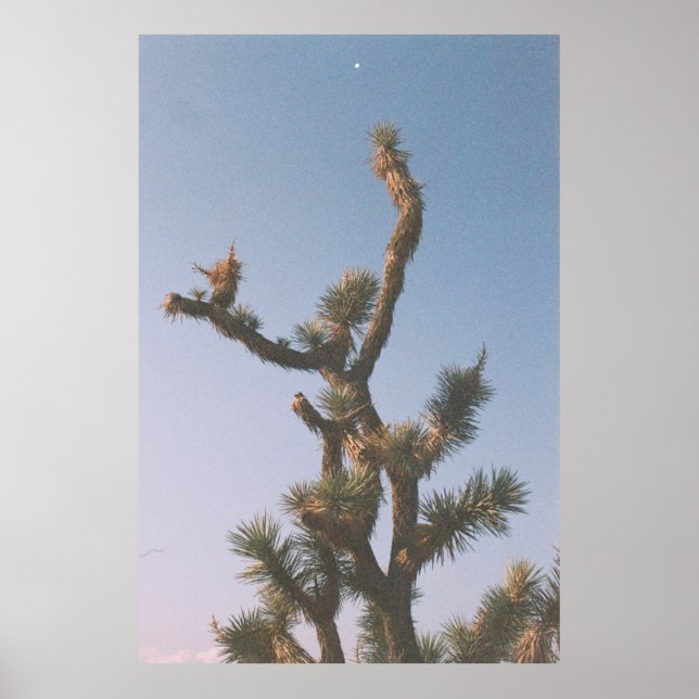 POSTER ÁRVORE VERDE E MARAVILHOSA SOB PELE AZUL (Frente)